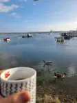 Poole, Holes Bay Harbour Nature Reserve - 'Right' next to the water :-) Sleeps 3 普爾住宿飯店
