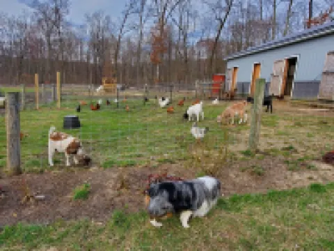 Farm Stay -Hideaway Haven Farm