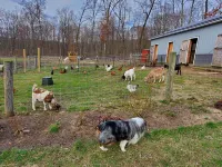 Farm Stay -Hideaway Haven Farm