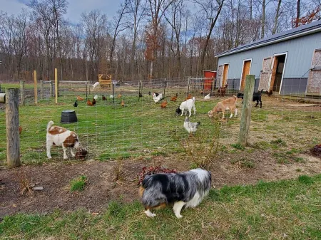 Farm Stay -Hideaway Haven Farm Отели в г. Кларион Каунти