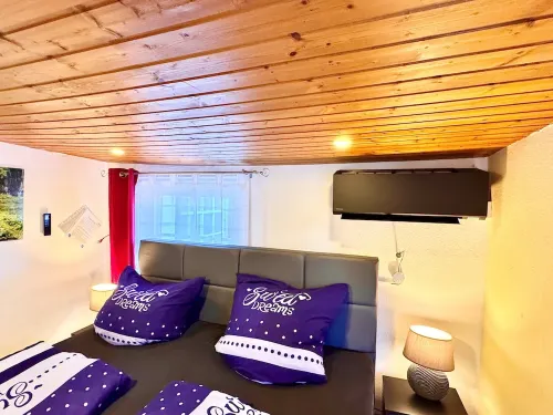 Vacation home "Zur Abzuchtinsel" - 4 stars - 85sqm - climate - in the middle of the city