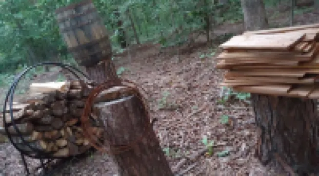 Walden Cabin Experience