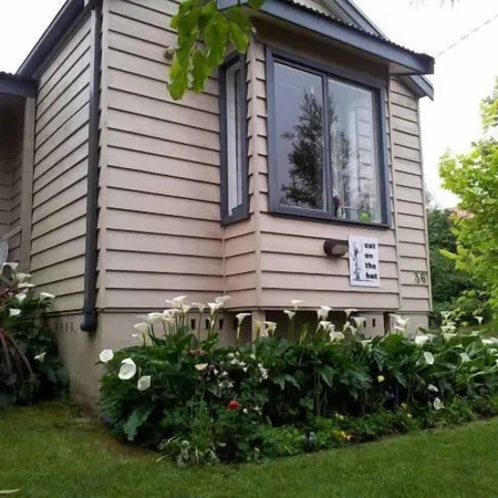 Cat On The Hat Cottage ~MeOw MeOw~5 stars 🌟🌟🌟 🌟 🌟 😻 property