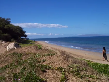 Kihei - Tropical Cottage Across from the Beach - PERMIT # STKM 2015/0003