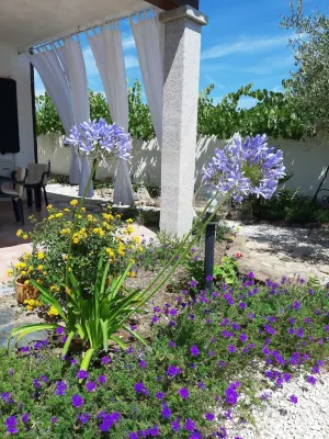 CALA LIBEROTTO SA PRAMA NICE APARTMENT WITH GARDEN 200 MT FROM THE SEA