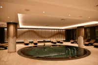 希爾頓逸林酒店卡爾斯薩里卡米什 - 泳池