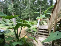 Cheerful 2-bedroom Easy Street Townhouse 잭슨 뷰 공원 주변 호텔