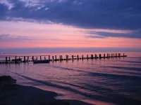 Light-filled, comfortable apartment in a quiet central location - close to the beach Hotels in Zingst