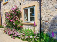 Peaceful, scenic,cosy cottage near Wells and Frome - 3-Star