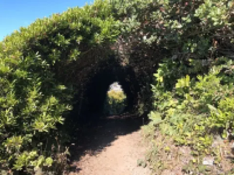 Redwood Family Hideaway Hotels in McKinleyville