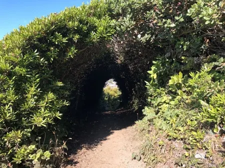 Redwood Family Hideaway