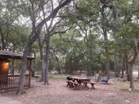 Little Cottage in the Woods Hotels in Spring Branch