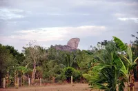 Wild Escape Hotels in Buttala