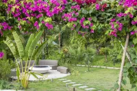 Astra Hotel Boutique Hotels in 