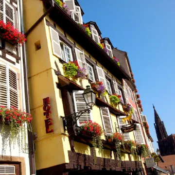 Logis Hôtel Restaurant Au Cerf d'Or