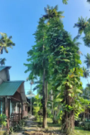 海洋珍珠海灘度假村 酒店