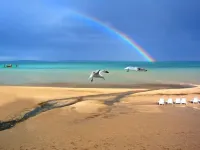 Clarion Hotel Beachfront - Beach