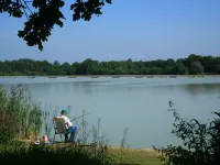 Pet-Friendly Villa in Park Ankeveen - 2-Star