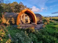 Eco Indigo Hotels near Dunbar Castle