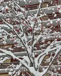 Superdevoluy545S Hotels in Saint-Bonnet-en-Champsaur