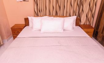 Stunning 2-Bedroom Furnished Apartment in Accra
