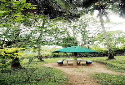 Jungle Paradise Farm & Guest House