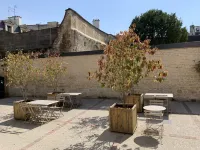 Clos Saint Martin