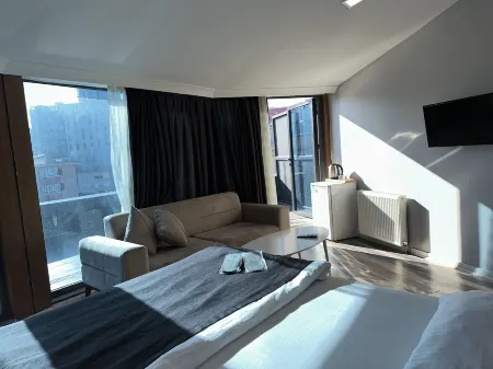 普拉斯公園套房飯店