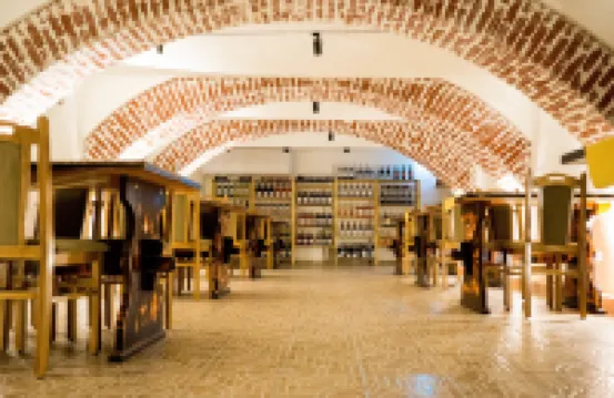 Nest Hotels in Drobeta Turnu Severin