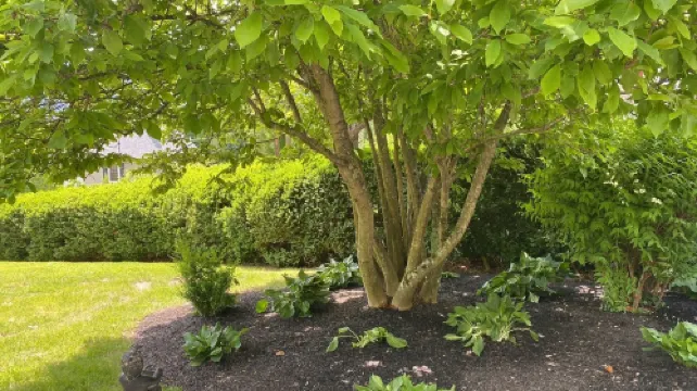 Hillcrest Mansion Inn