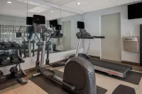 Radisson Hotel Grand Rapids Riverfront - Gym