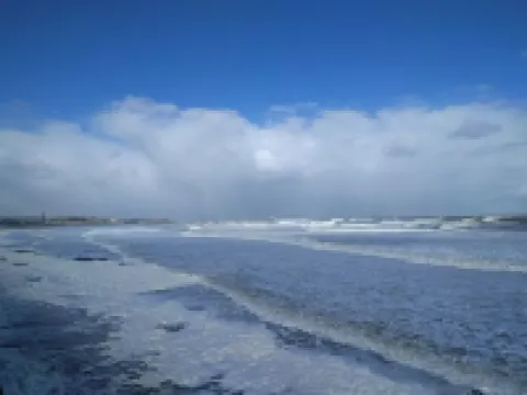 Coble Cottage. By the sea, family and dog friendly