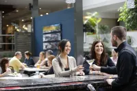 DoubleTree by Hilton Hotel Rochester - bar