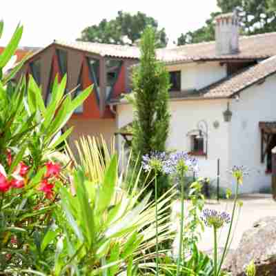 Quintessia Hôtel & Spa - Nantes Orvault Hotel Exterior