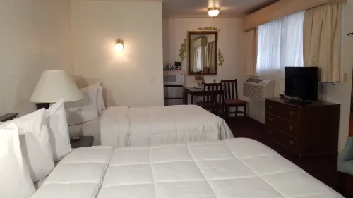 Stanford Motor Inn - Motels