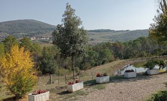 Casa di Palaia