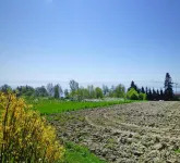 Apartment near Lake Constance and Alps