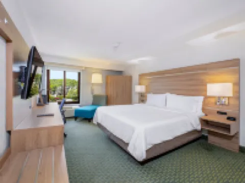 Holiday Inn Express SAN JOSE COSTA RICA AIRPORT by IHG Hotels in Rio Segundo
