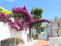 Hotel Villa Cecilia Hotel in zona Castello Aragonese d'Ischia