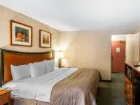 格里利市中心凱藝酒店及會議中心 格里利酒店