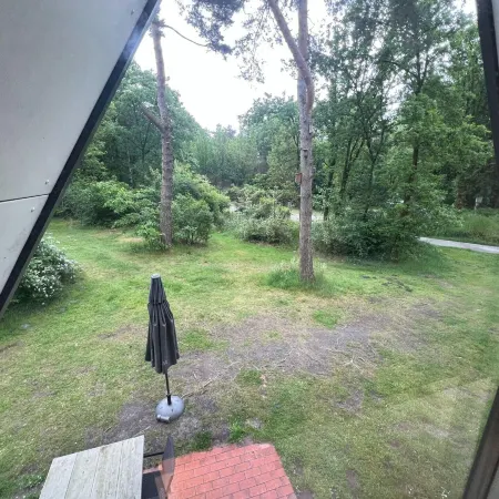 Bungalow in Limburg Near Nature Reserves Hotels in Stramproy