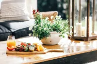 Nightcap Ridge - Byron Bay Hinterland