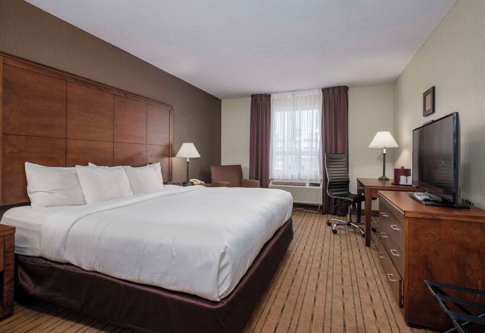 Comfort Inn - Gander 외관