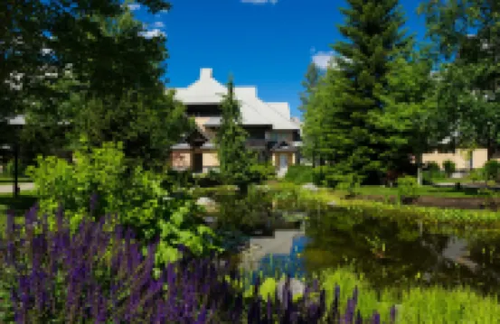 Whistler Superior Properties