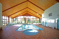 Tamar Valley Resort Grindelwald - プール