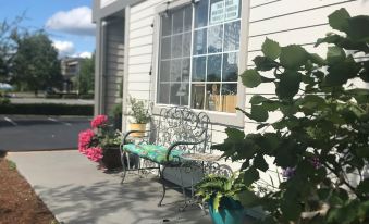 Tulip Inn Mount Vernon