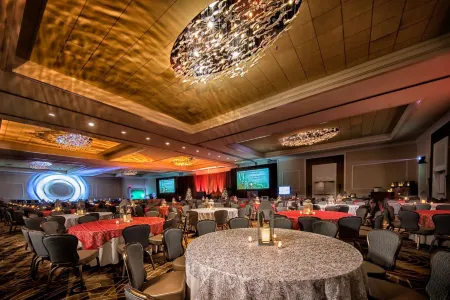 Margaritaville Beach Resort South Padre Island