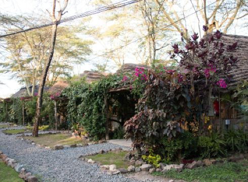Swara Acacia Lodge