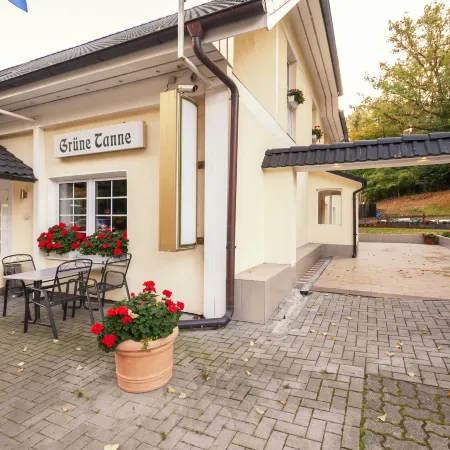 Hotel Grüne Tanne Отели рядом с достопримечательностью «Харбург»