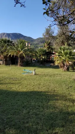 The Palm Apart Sarigerme